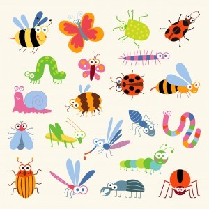 Insektenforscher-erp-topsoft-2015