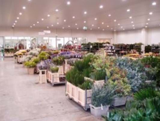 Business Software und Barcodes bringen die Zürcher Blumenbörse zum Blühen