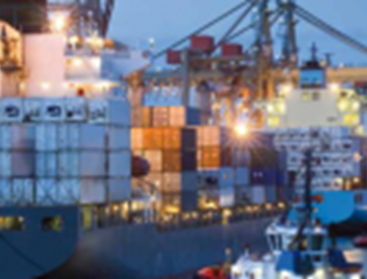 Veränderungen im Export und Import durch EDV-Obligatorium