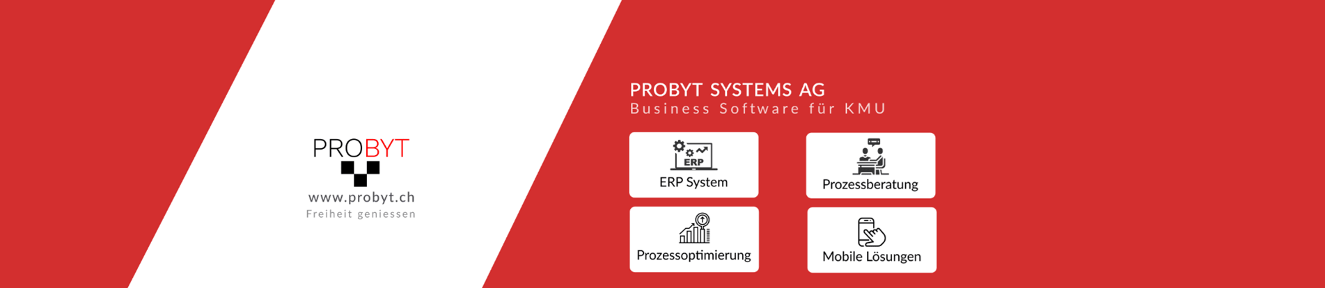 Probyt Systems AG logo