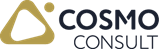 COSMO CONSULT Gruppe logo